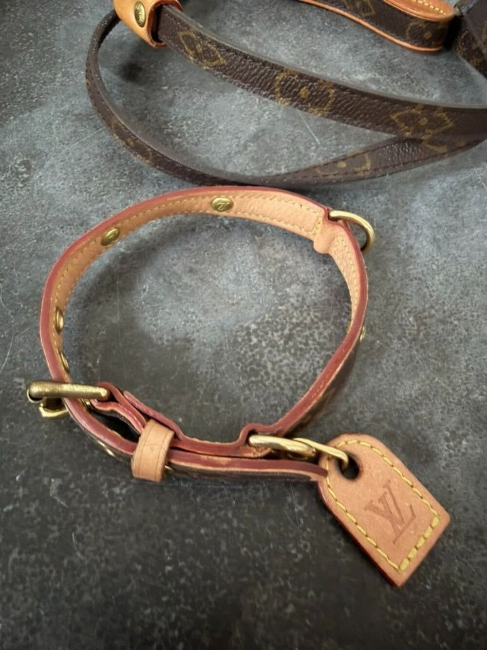 LOUIS VUITTON Baxter PM Dog Collar & Leash Small dog - Picture 2 of 8